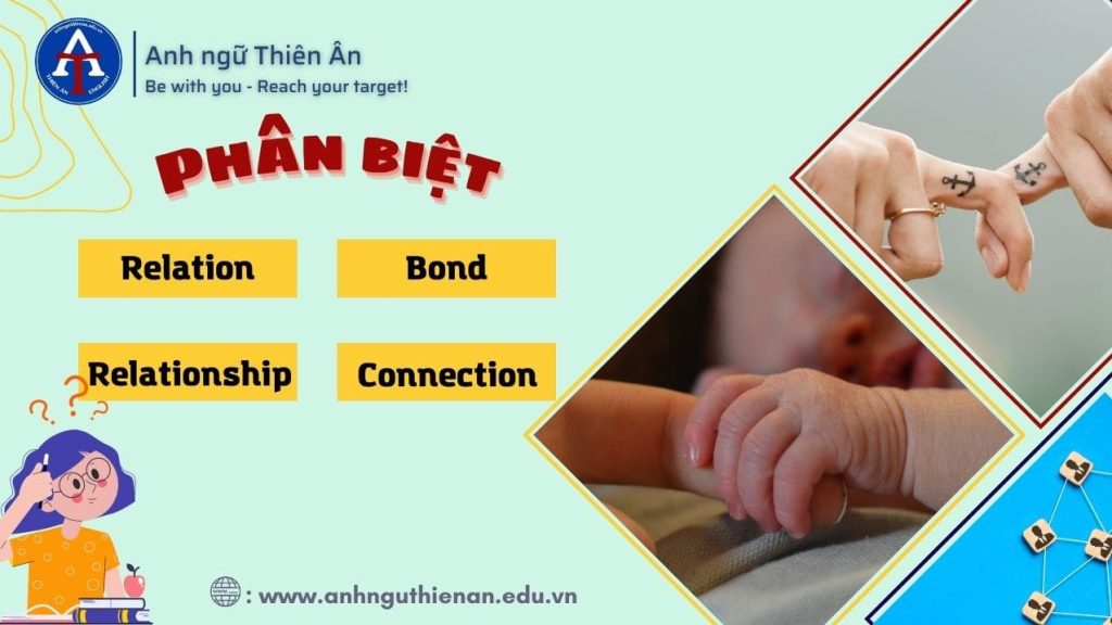 phan biet relation, relationship, bond, connection - anh ngu thien an