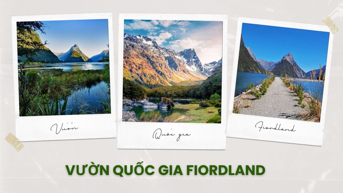 10 dia diem du lịch new zealand noi tieng - anh ngu thien an