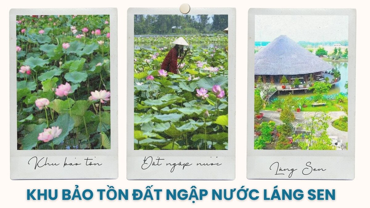 10 dia diem du lịch long an noi tieng - anh ngu thien an