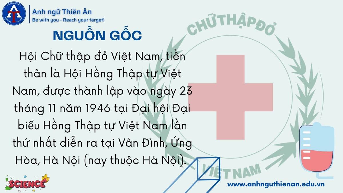 ngay thanh lap hoi chu thap do viet nam 23/11 - anh ngu thien an