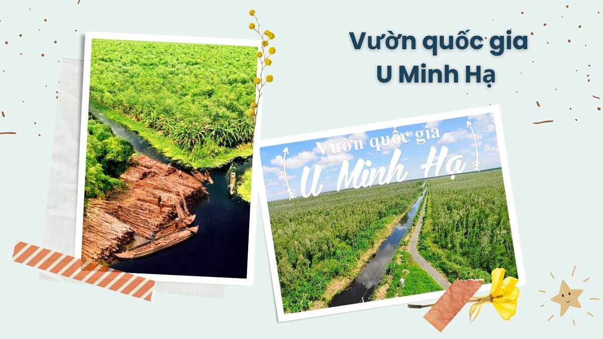 10 dia diem du lich ca mau  - anh ngu thien an