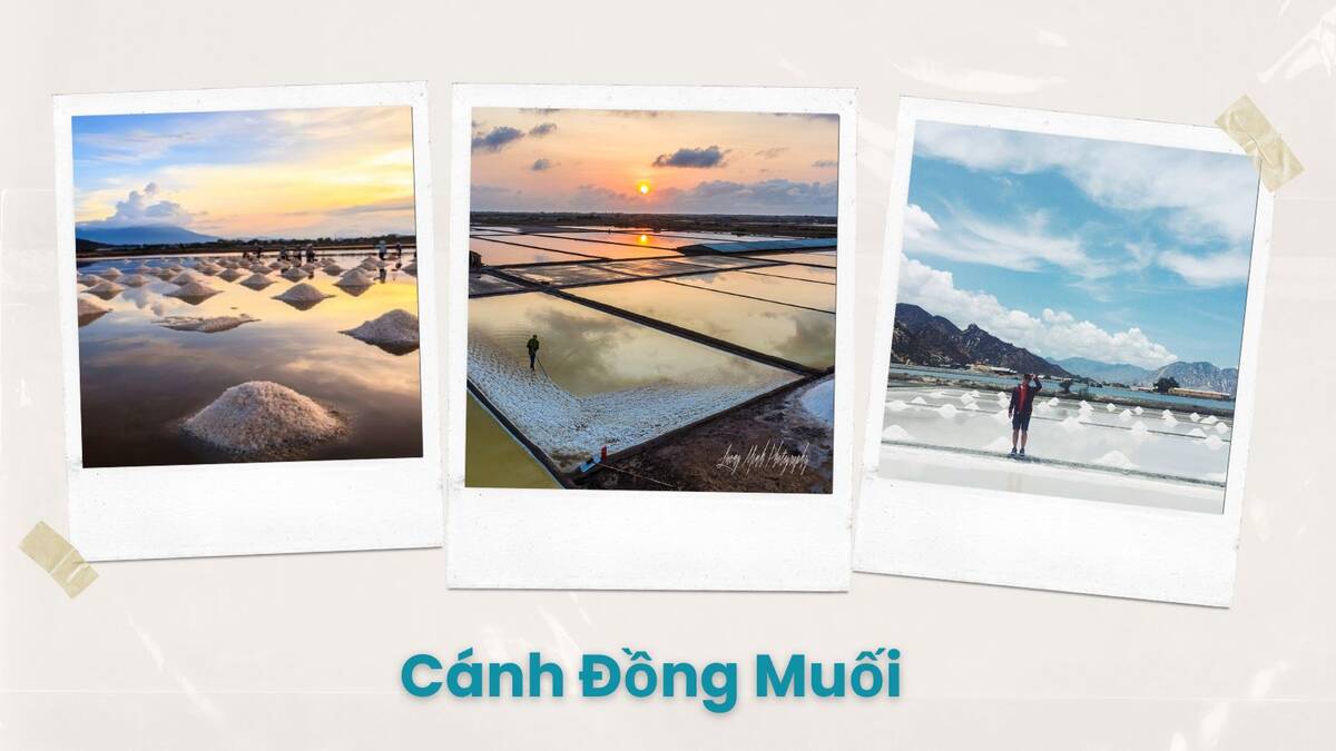10 dia diem du lich bac lieu - anh ngu thien an