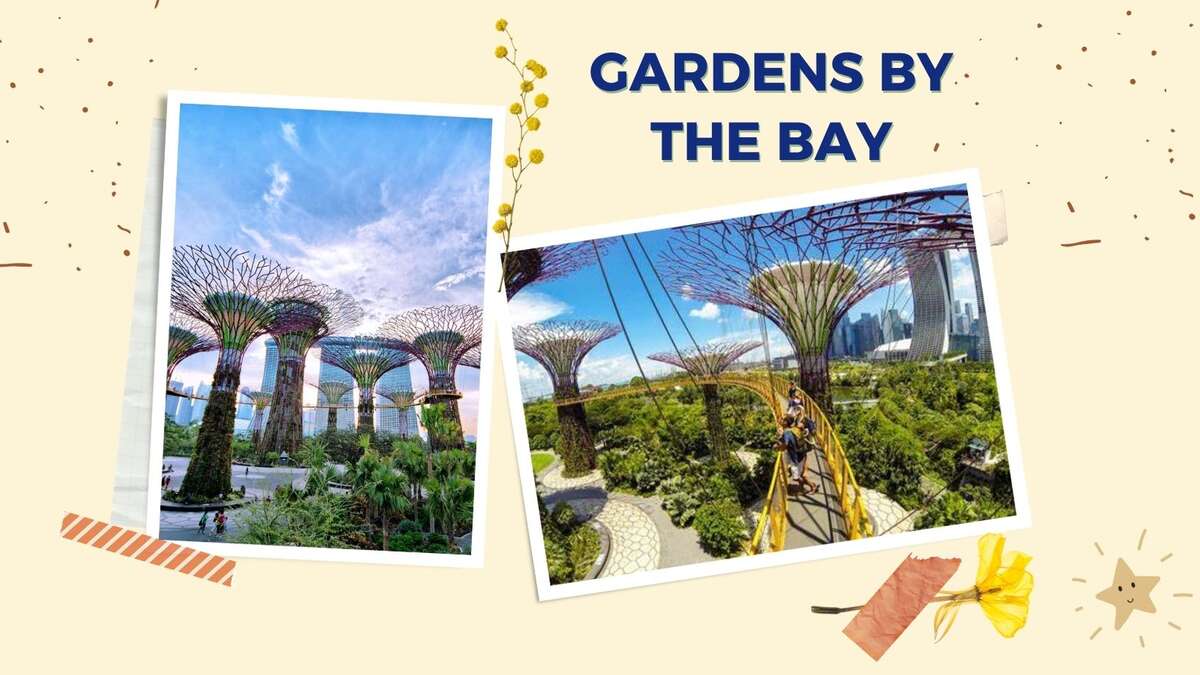 10 dia diem du lich singapore - anh ngu thien an