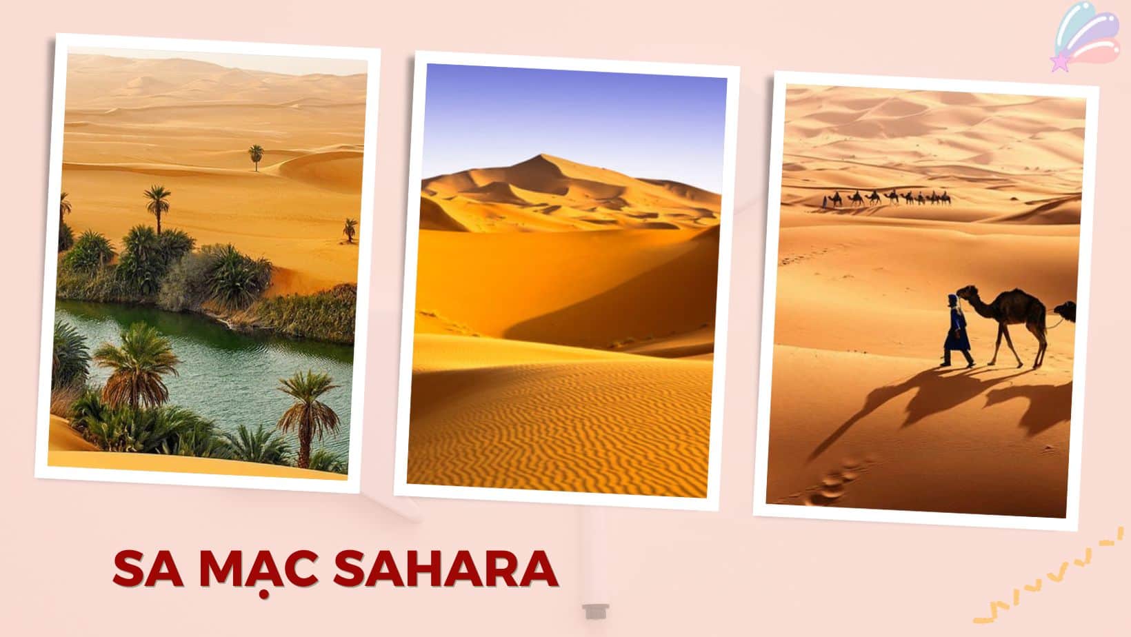 10 Địa Điểm Du Lịch Morocco Nổi Tiếng Thu Hút Du Khách Quốc Tế